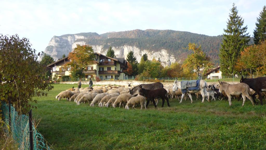 Casa Dal Ri' Appartement Fai della Paganella Buitenkant foto